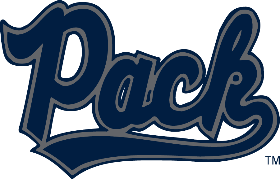 Nevada Wolf Pack 2006-2023 Secondary Logo v2 diy iron on heat transfer